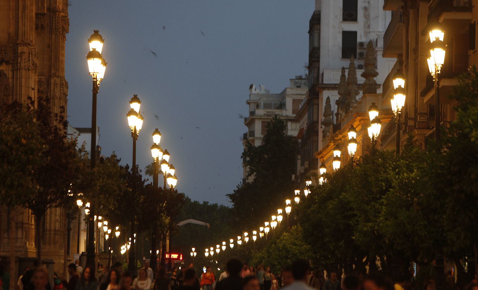 La Avenida de la Constitución iluminada al anochecer.