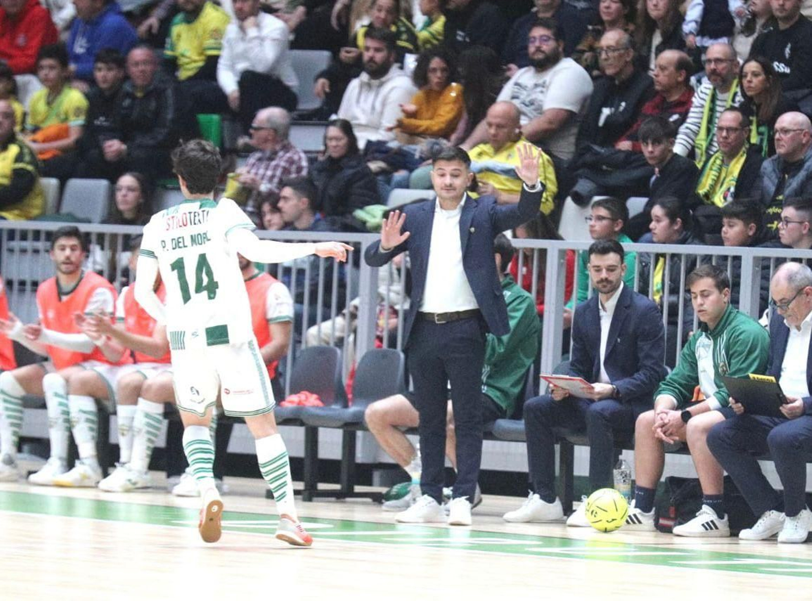 Ema Santoro da órdenes durante la cita del pasado viernes en el Olivo Arena. Ema Santoro da órdenes durante la cita del pasado viernes en el Olivo Arena.