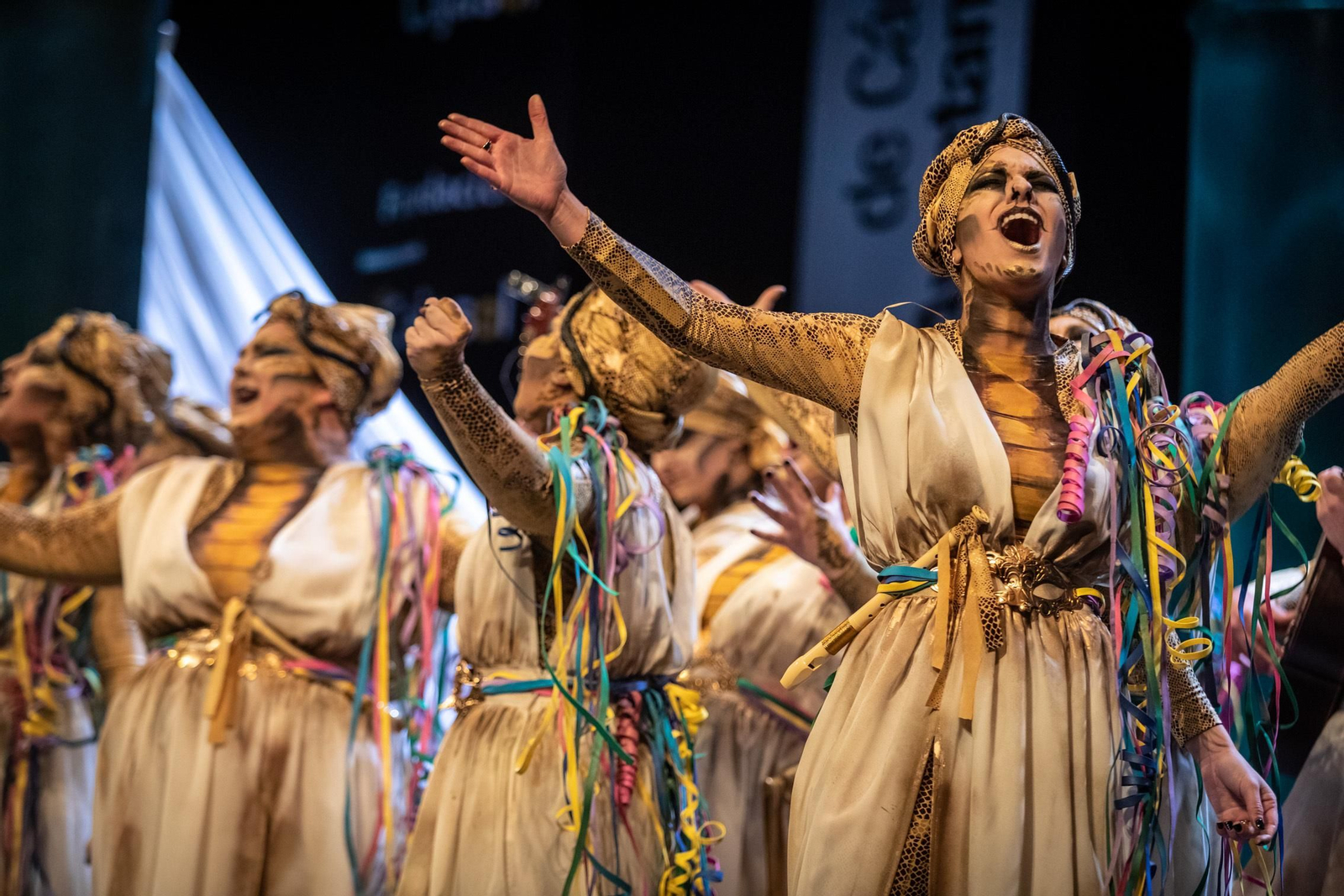 Comparsa mixta 'Lassss envenerasssss'