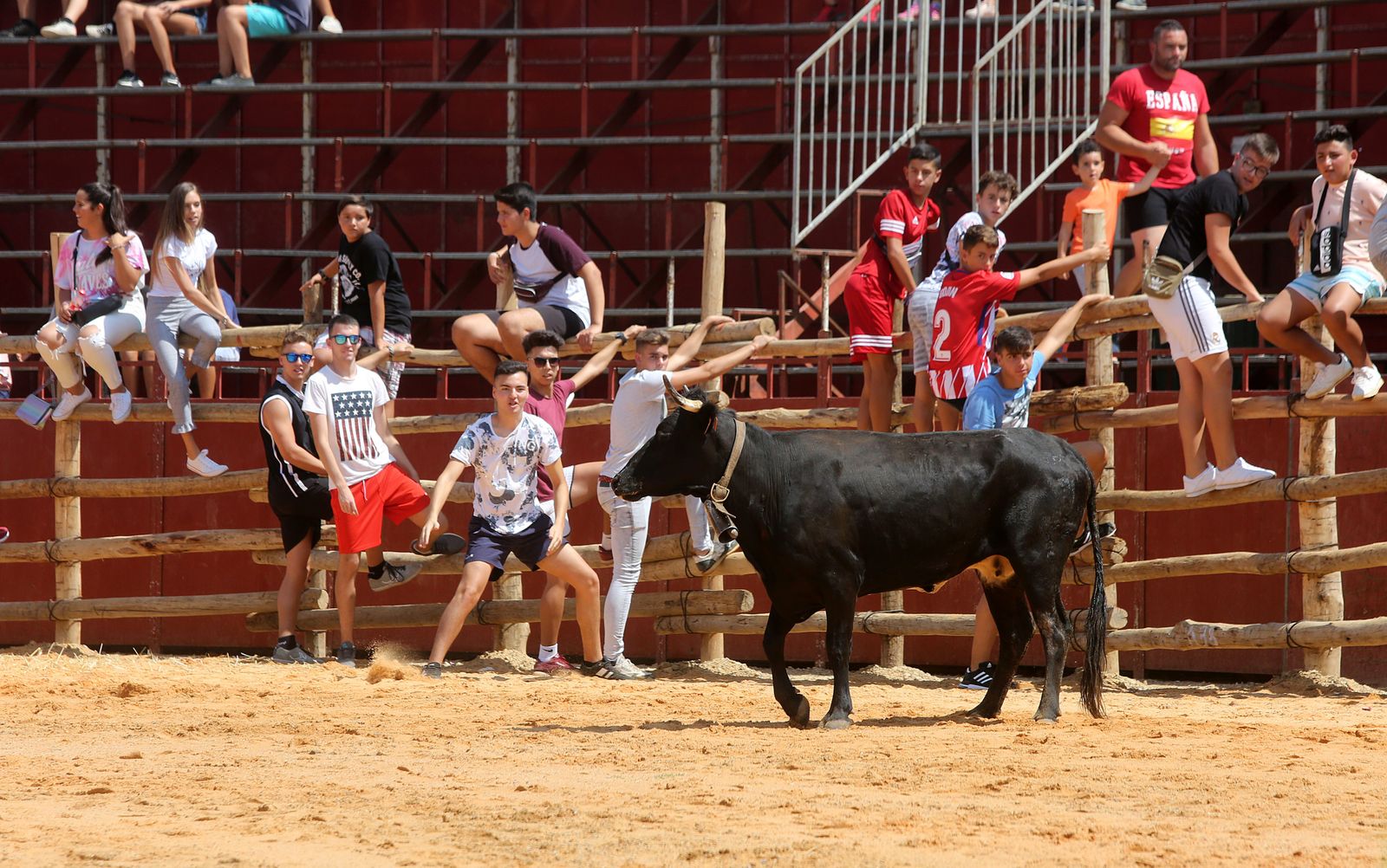 Capeas de Trigueros en imágenes