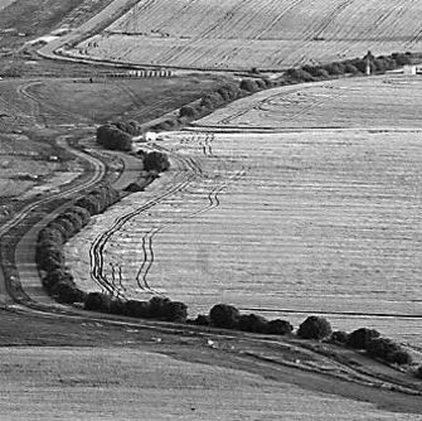 Guadiamar, el príncipe de los ríos