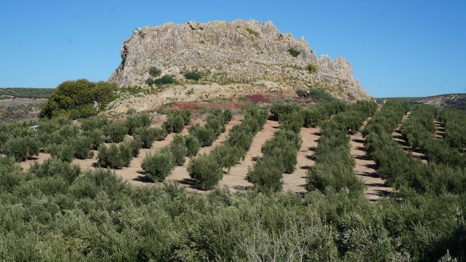 Piedra Luenga, en Montilla.