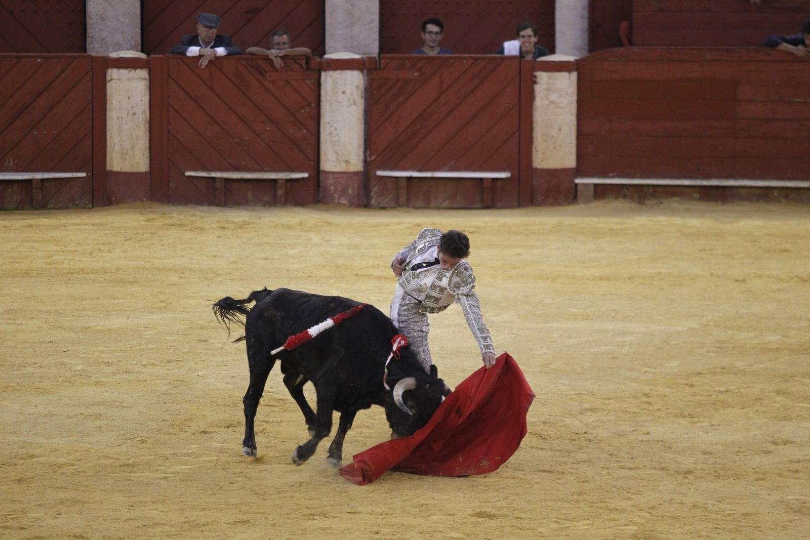 Fotogalería novillada Escuela Taurina de Almería. Feria de Almería 2019