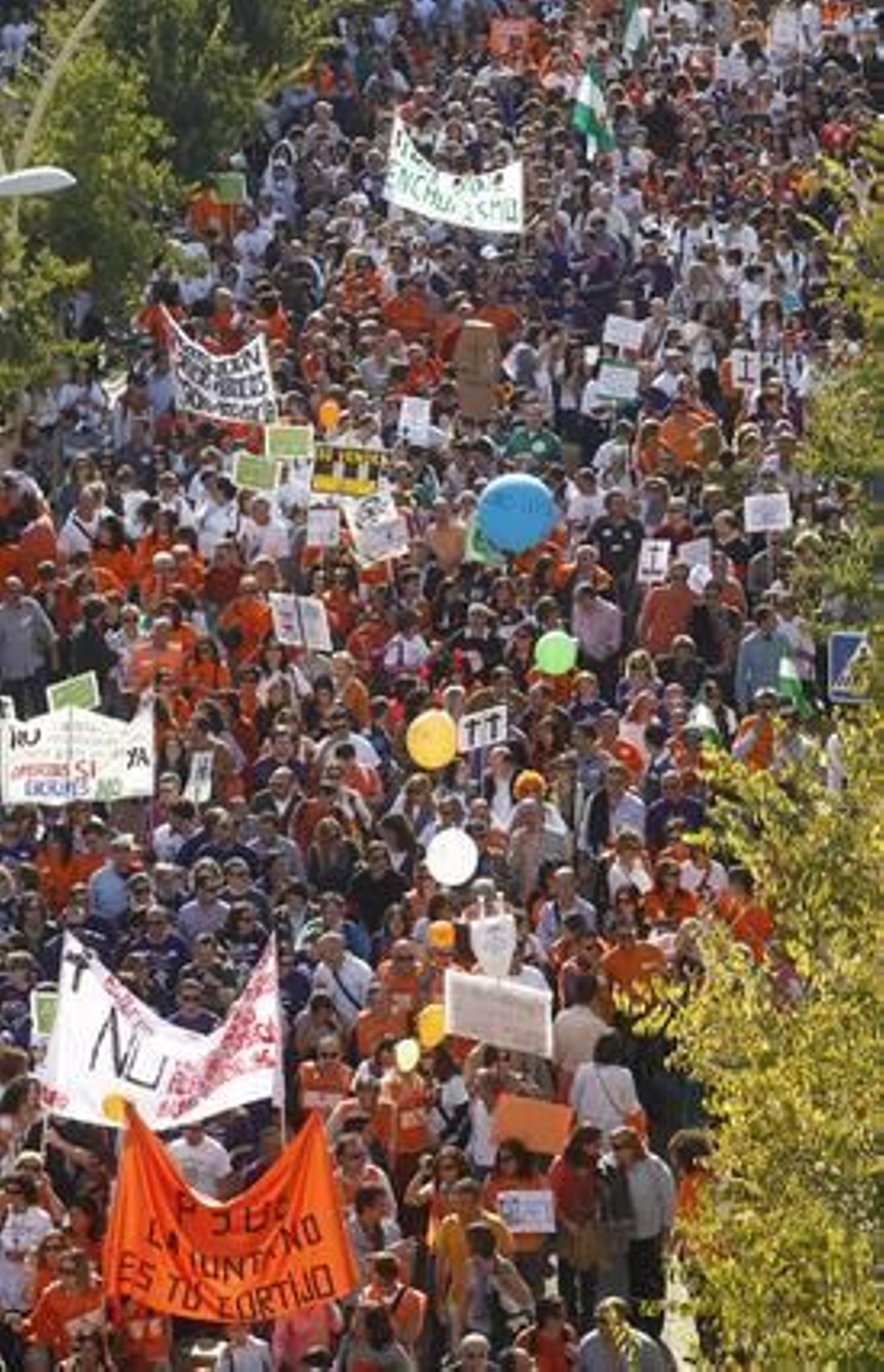 Miles de funcionarios se manifestaron desde la Alameda de Hércules hasta el Parlamento andaluz contra el decreto de la Junta bajo el lema 'Defiendo mi derecho y la gestión pública'.

Foto: Antonio Pizarro