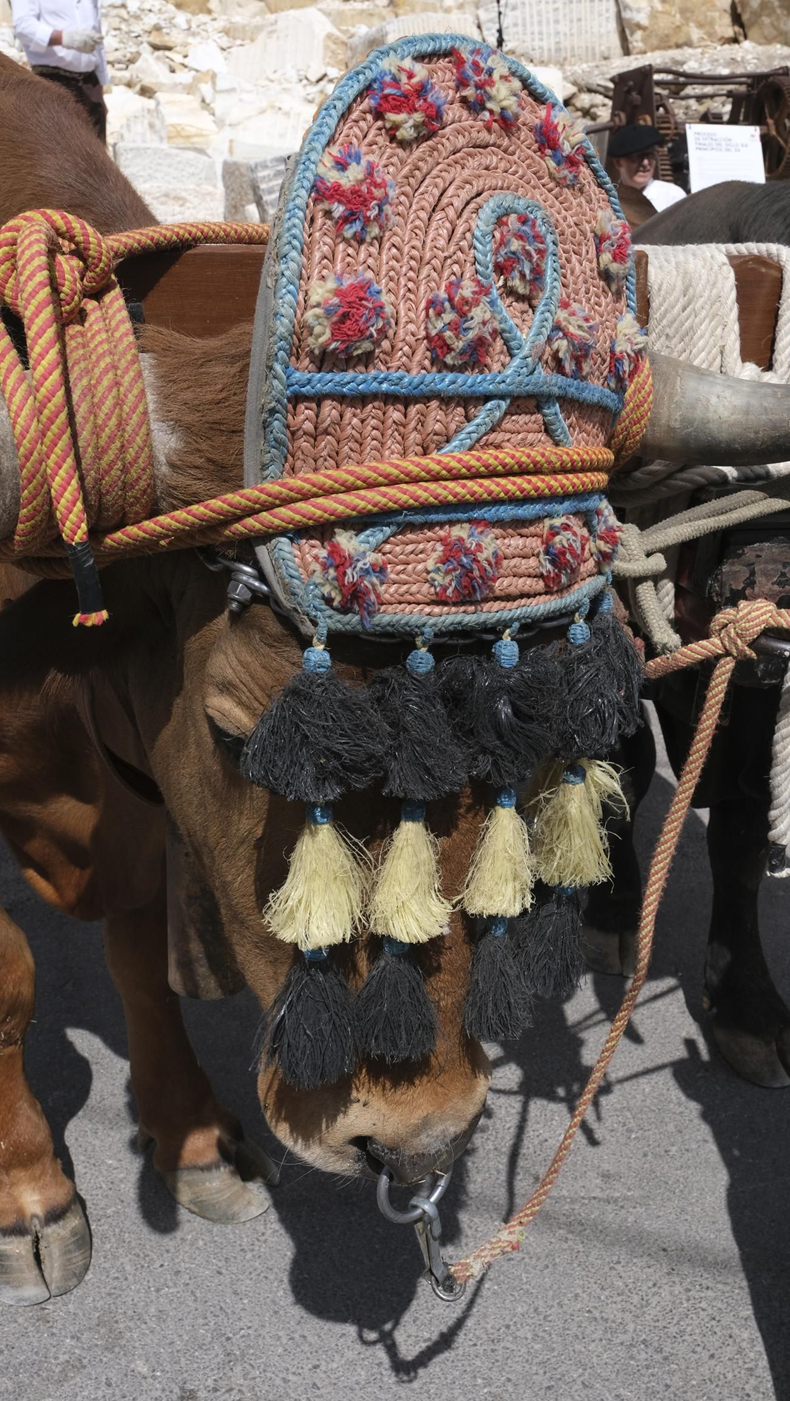 Imágenes de la recreación histórica Canteros y Caciques, en Macael