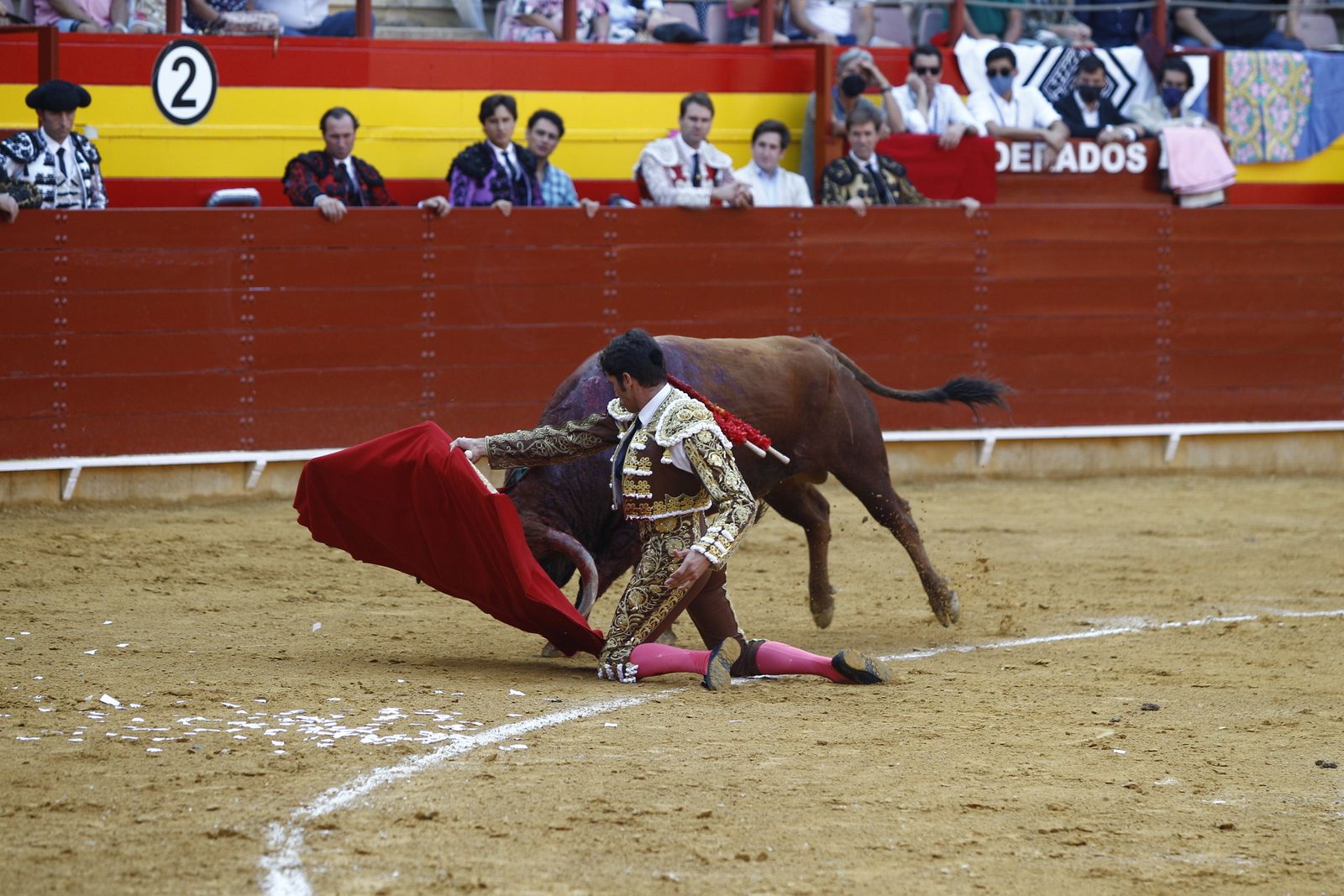 Fotogalería corrida de toros. Cayetano Rivera, Paco Ureña y Roca Rey. Roquetas de Mar.