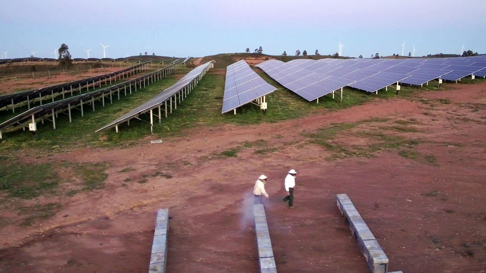 Dos apicultores en las colmenas instaladas dentro de la planta