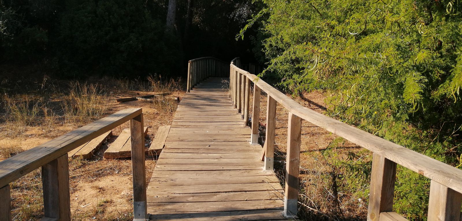 Pasarela del Pinar de la María