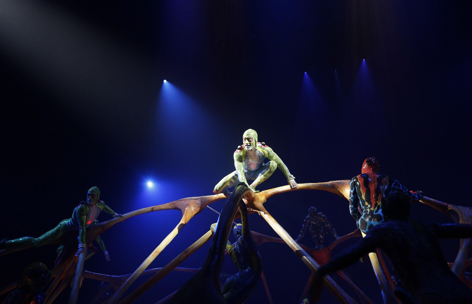 La cocina del asombro