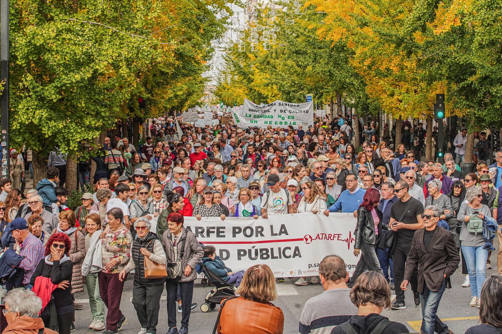Galería | Más de un millar de granadinos se manifiestan en defensa de ...