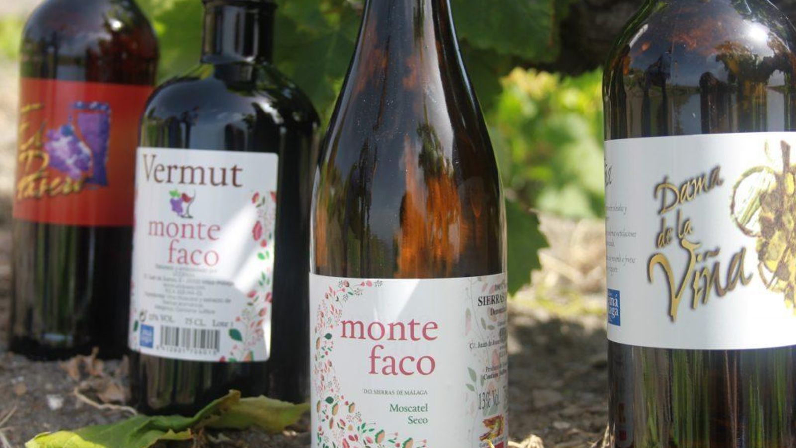 Vinos de UCOPAXA. Vinos de UCOPAXA.