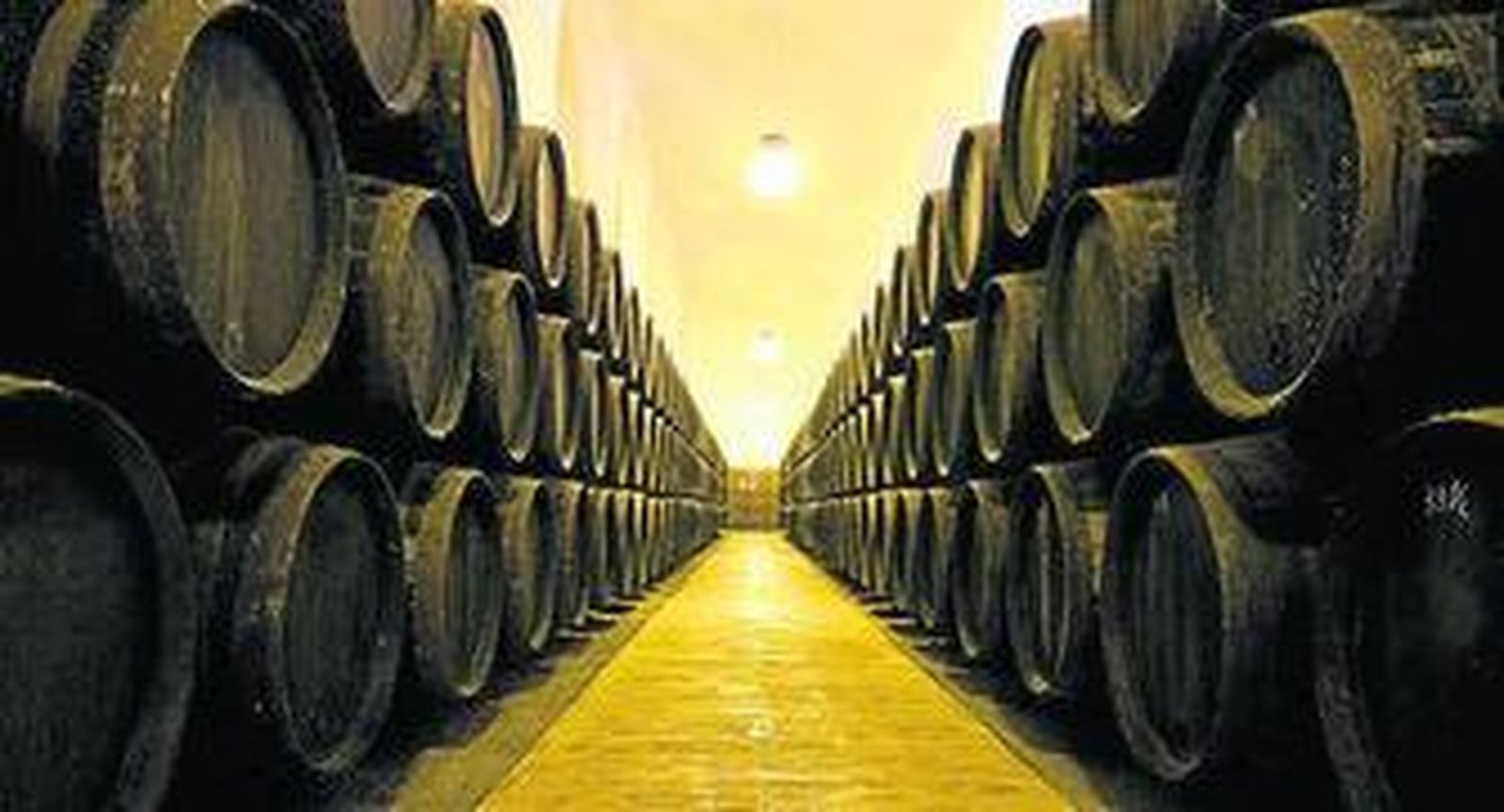 El presidente del vino en una rueda de prensa en el Consejo Regulador.