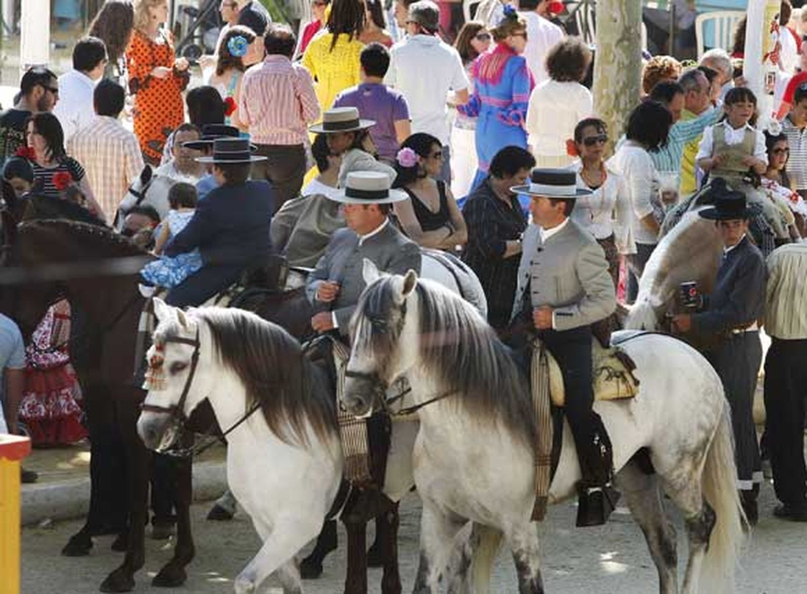 Imagen del paseo de caballos

Foto: Fito Carreto