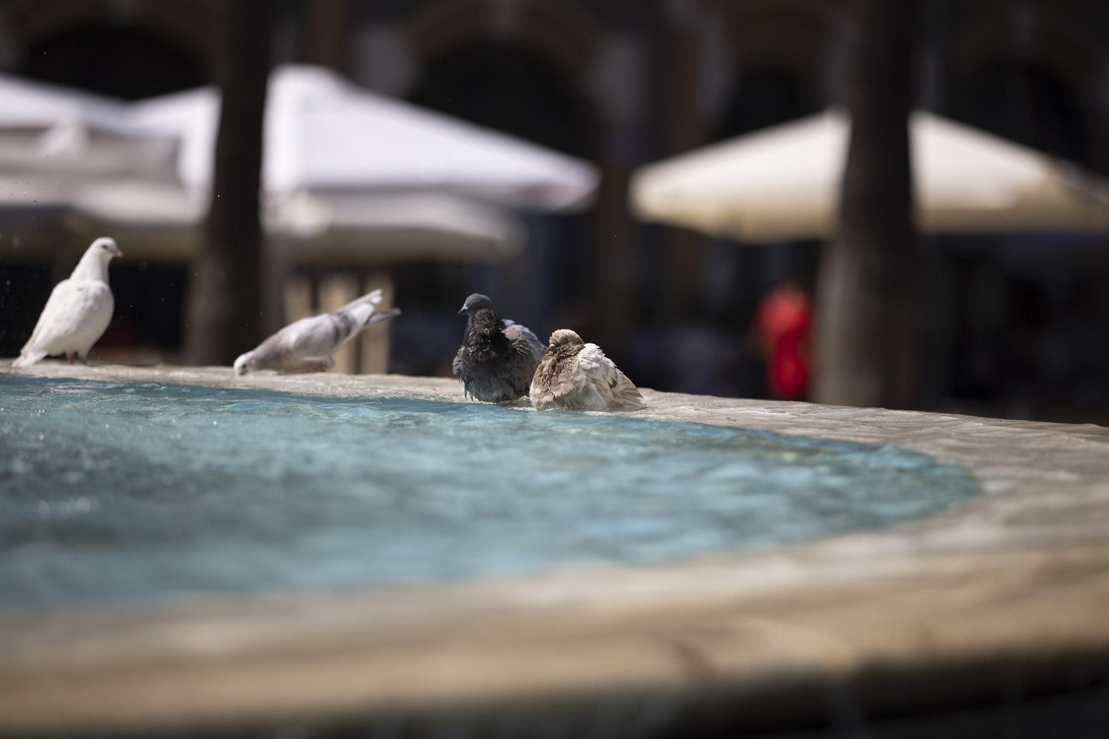 Imágenes del jueves 8 de septiembre en Huelva