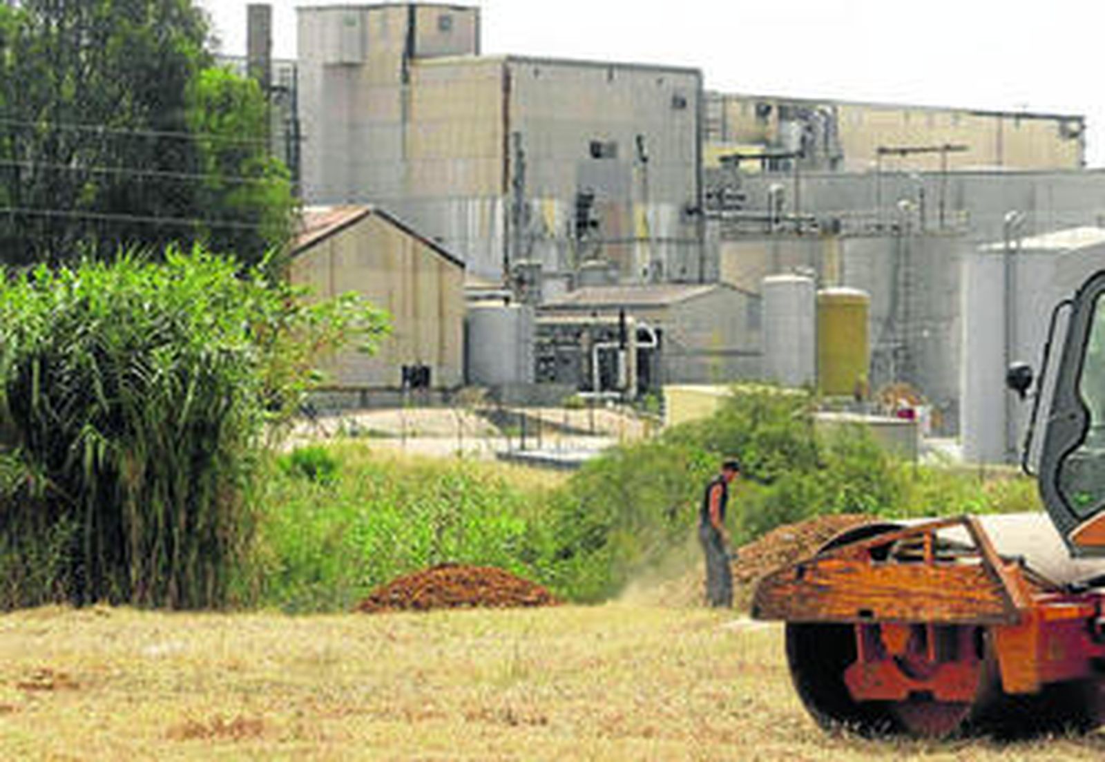 La explanada anexa a Torraspapel, donde SAM Algeciras comenzará a operar próximamente.