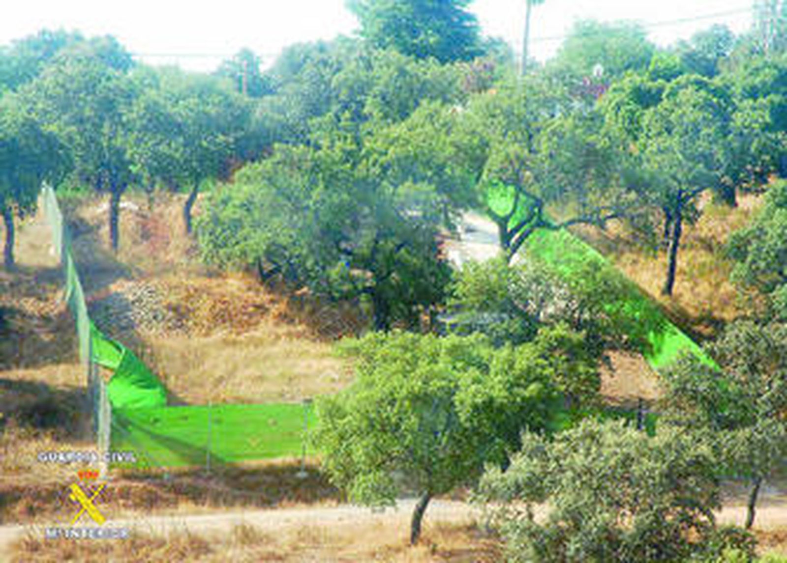 La imagen muestra una parcelación ilegal, uno de los fenómenos que más trabajo generan a la Fiscalía de Medio Ambiente.