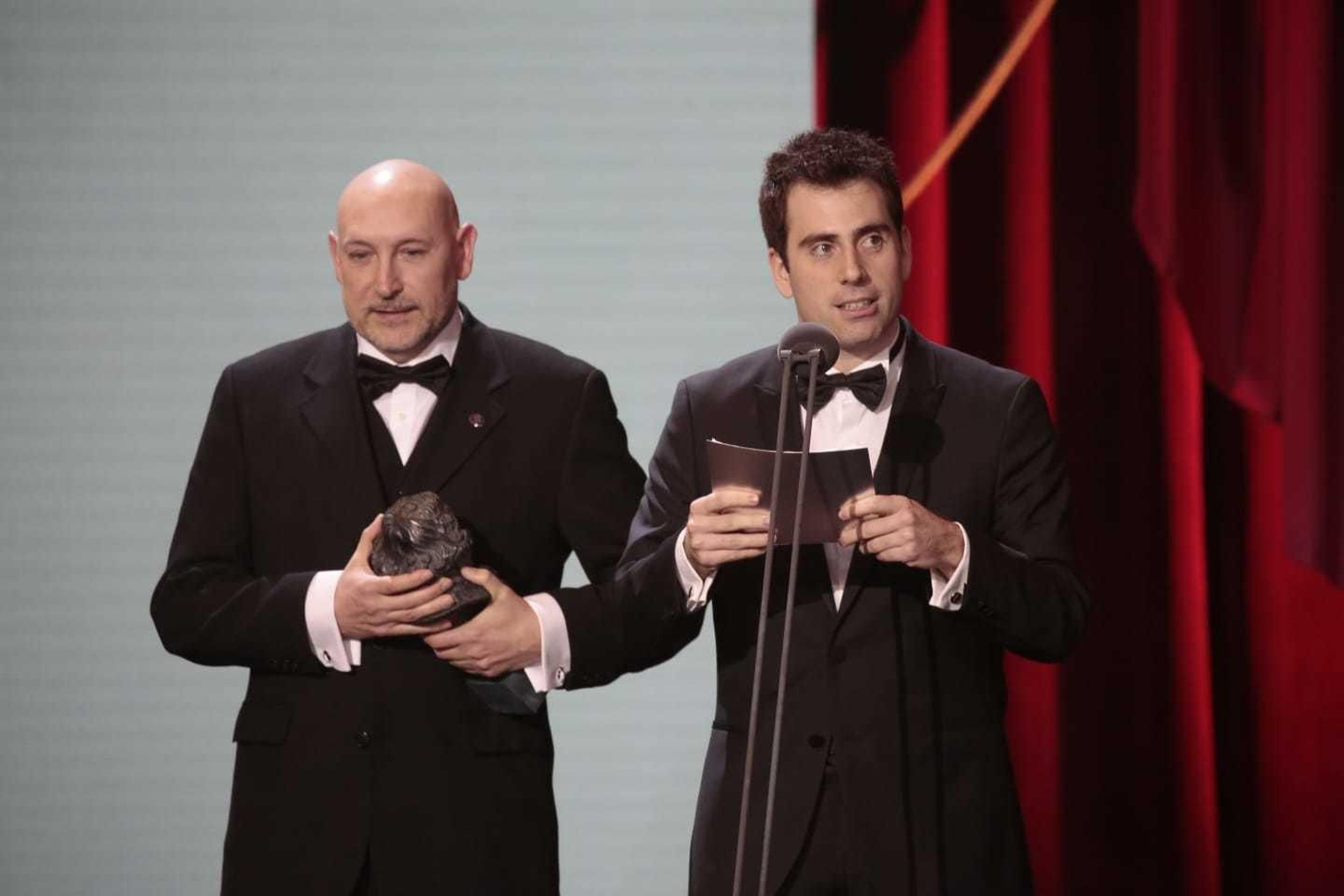 La gala de entrega de los Premios Goya, en imágenes