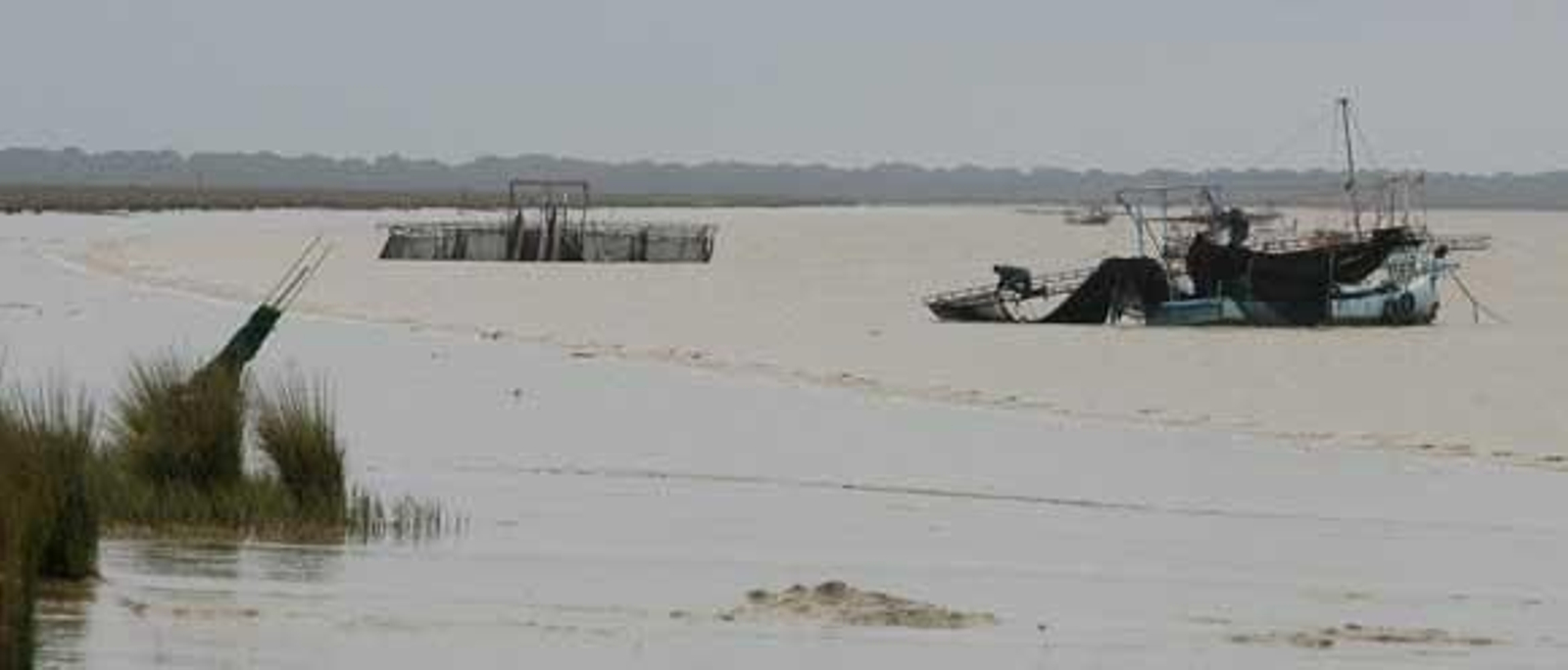 Uno d elos barcos inmovilizados.

Foto: Borja Benjumeda