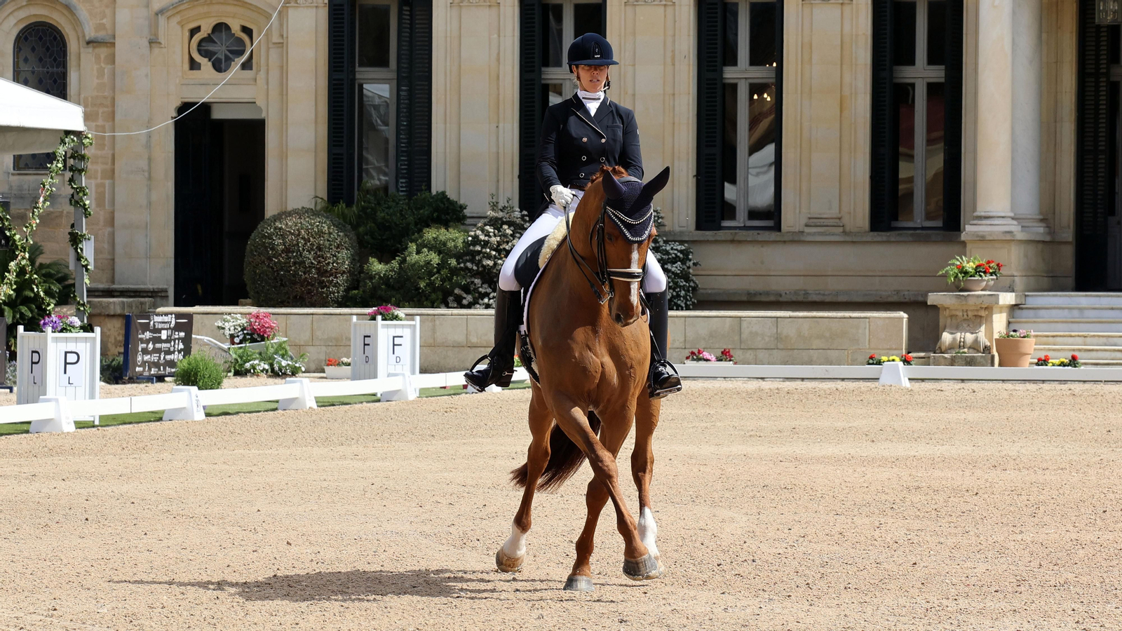 Concurso Internacional de Doma Clásica '50 Aniversario' en Jerez