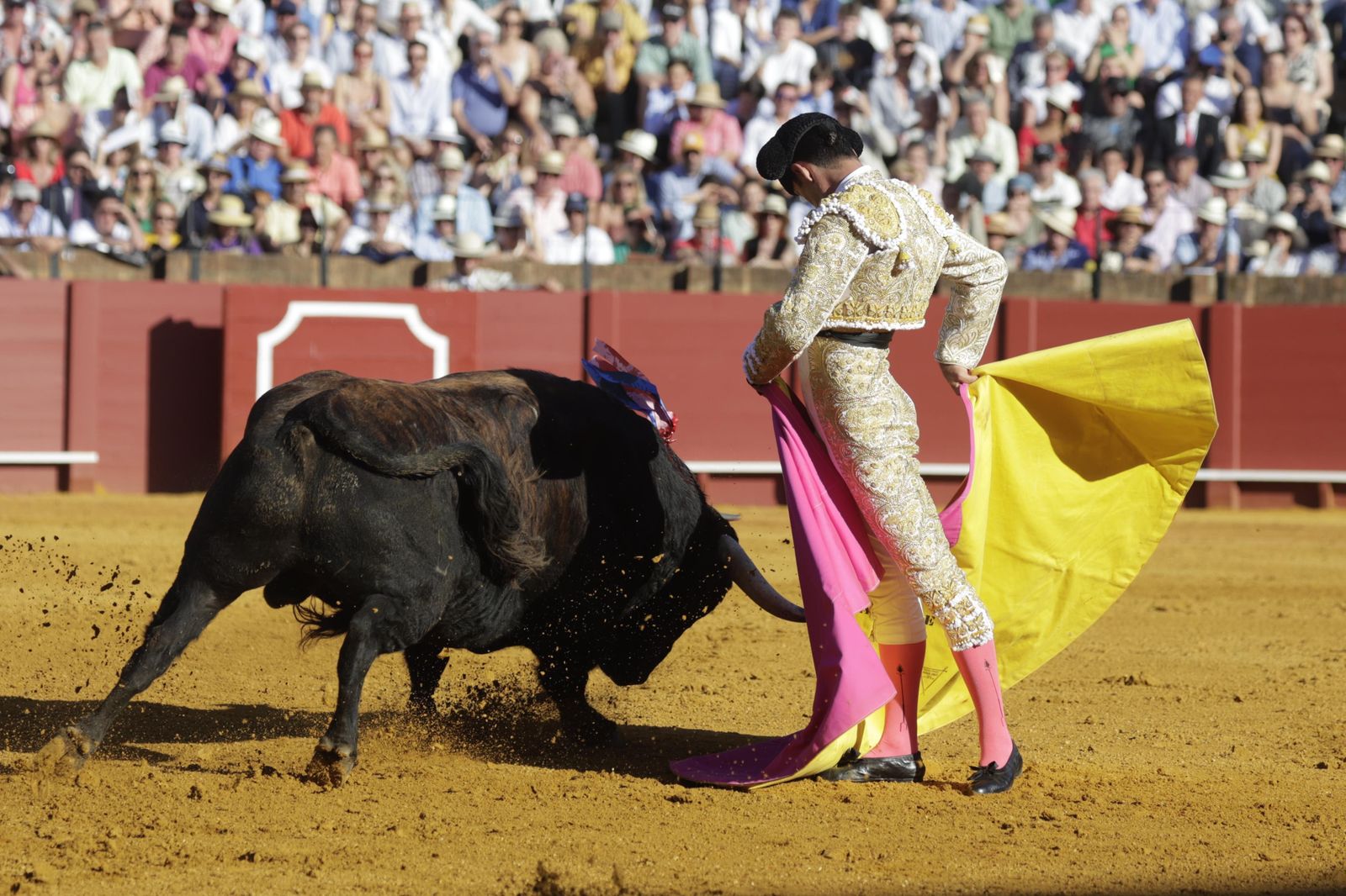 Las imágenes del festejo