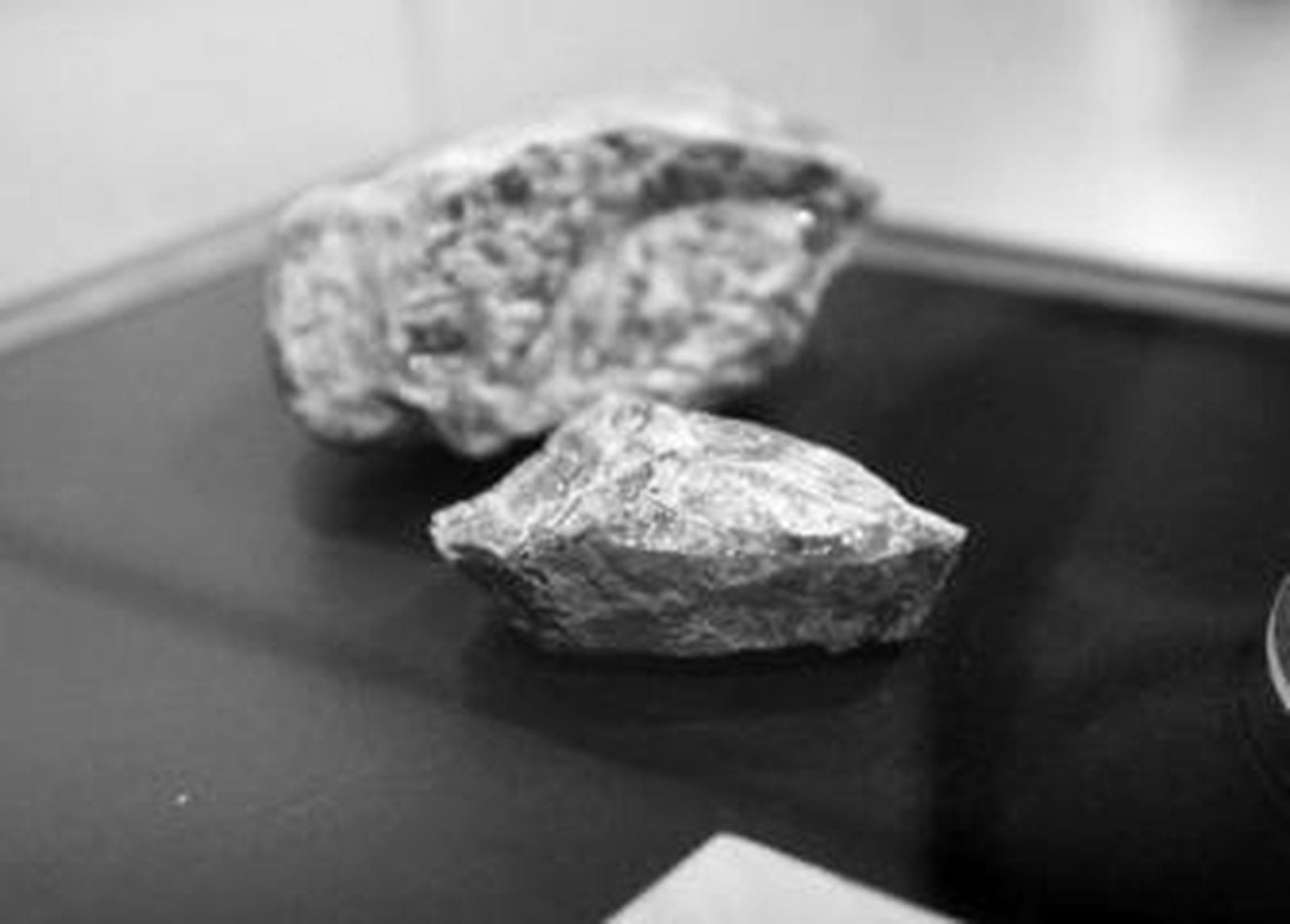 Una joven contempla una de las vitrinas de la exposición.