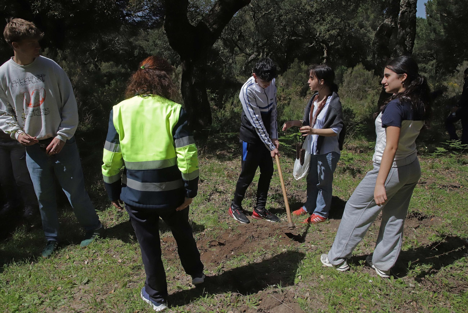 Fotografías de la plantación del programa 'Reverdece' de Acerinox Fotografías de la plantación del programa 'Reverdece' de Acerinox