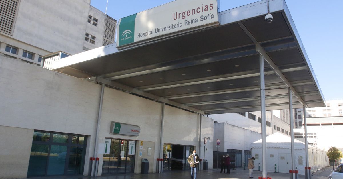 Una mujer resulta afectada por inhalación de humo en un incendio en ...