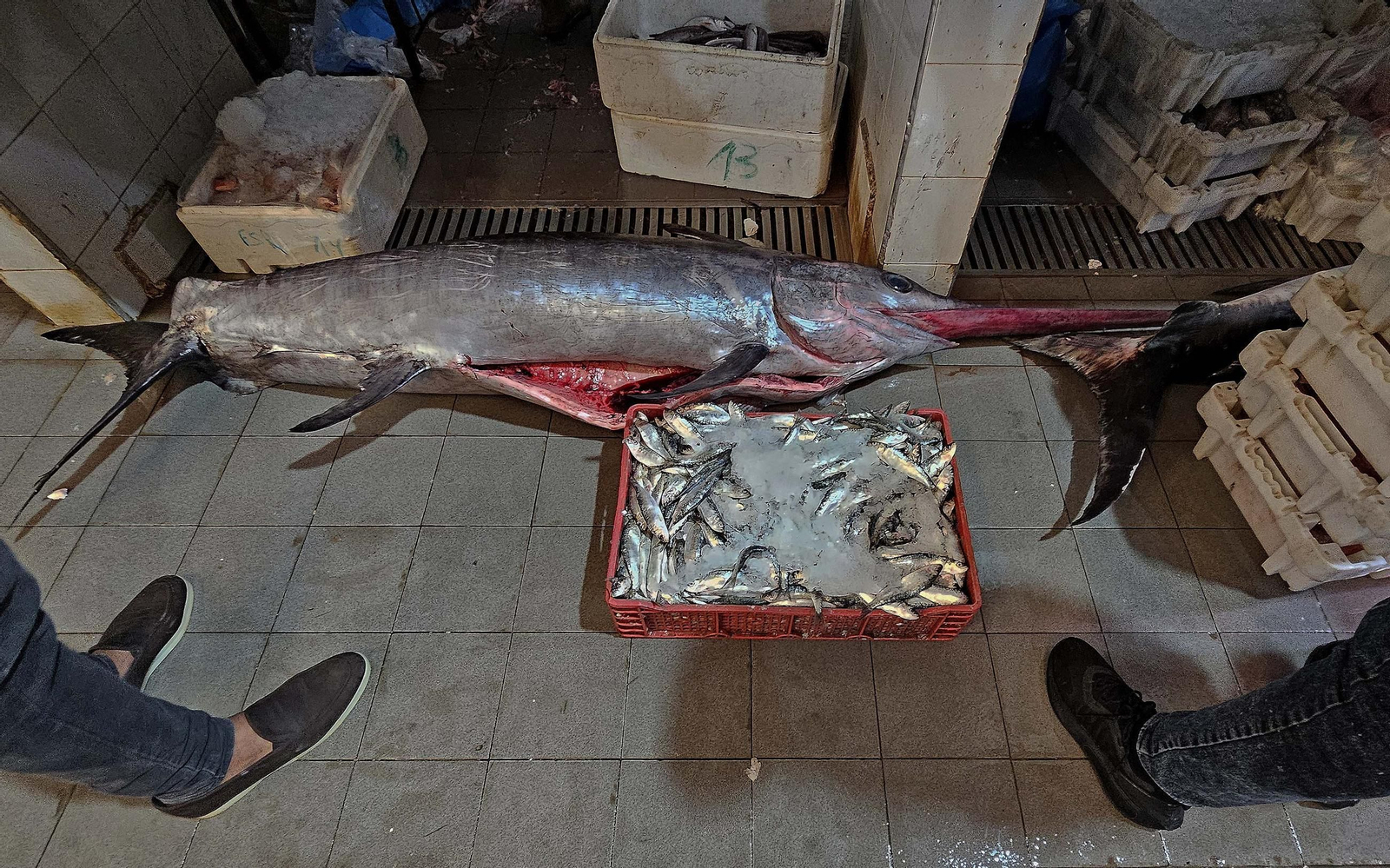 Un paseo por la ciudad de Tánger, en imágenes