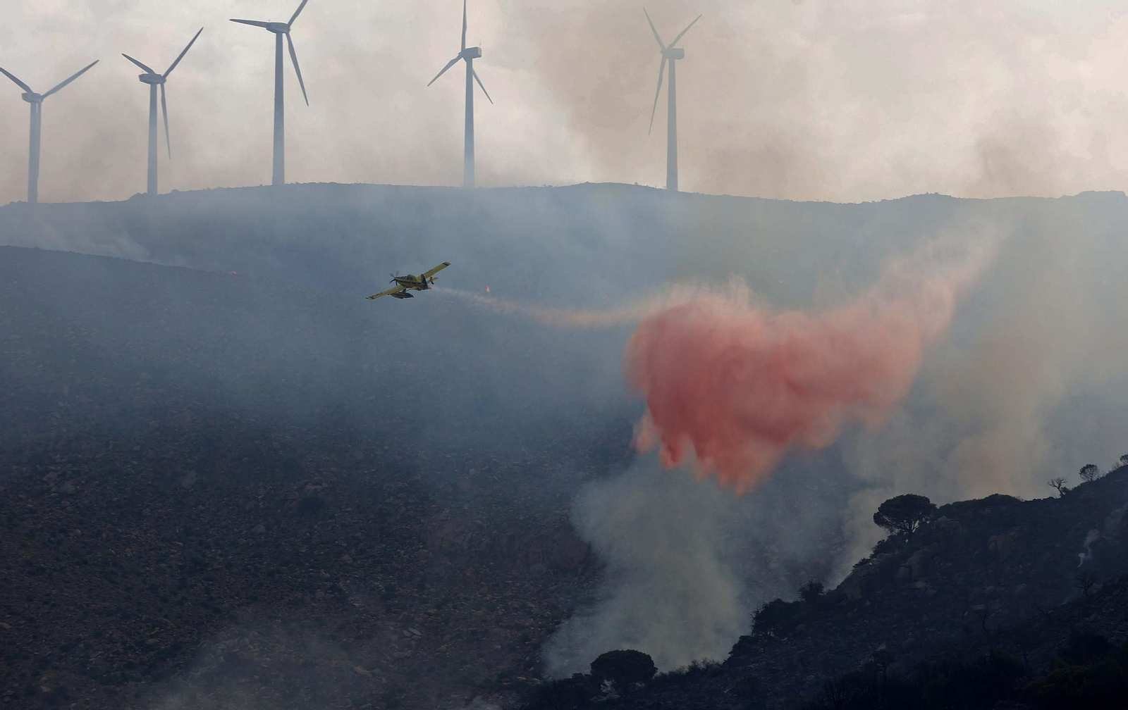 Fotos del incendio forestal de Torre de la Peña en Tarifa