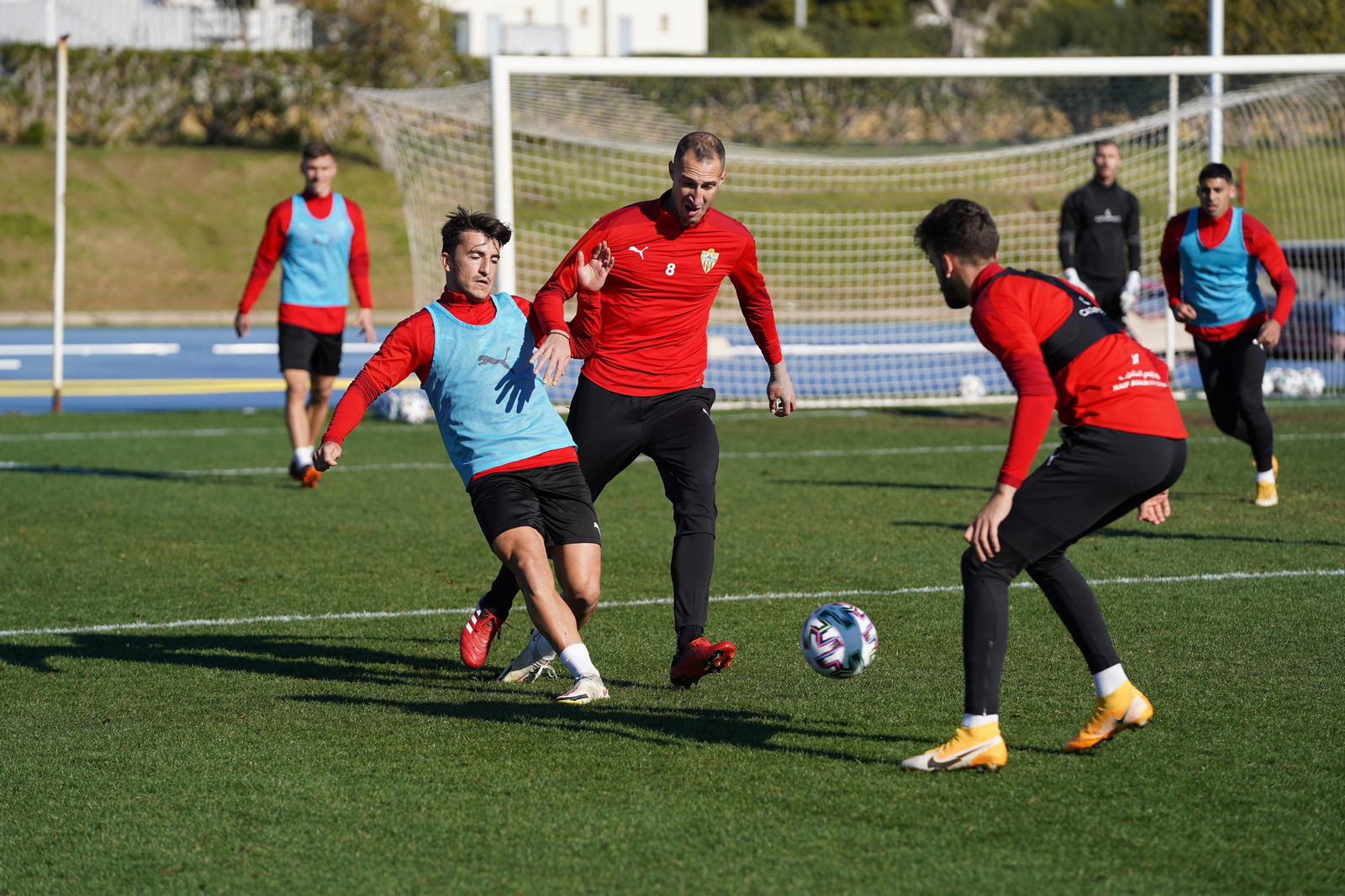 Buñuel junto a Petrovic y Centelles en un lance del entrenamiento de este miércoles
