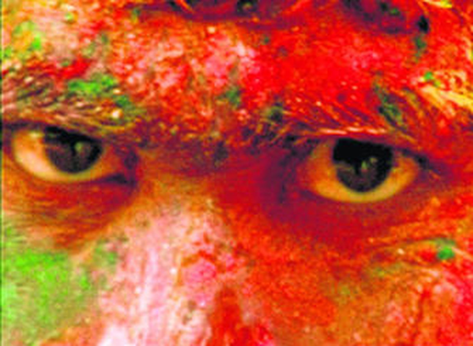 'Tercera persona. Caja de sombras 2', instalación interactiva de Rafael Lozano Hemmer.