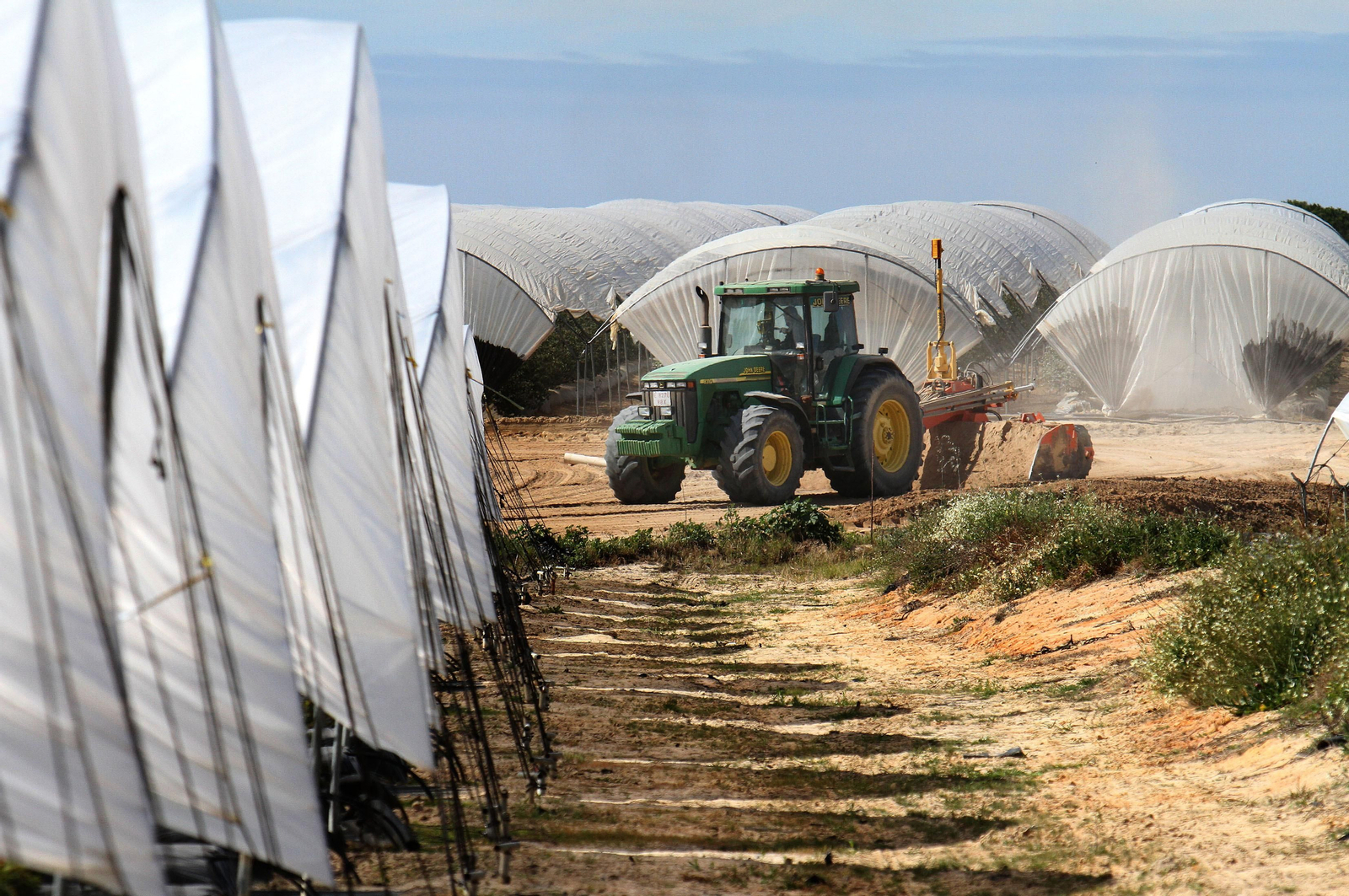 Un tractor en una finca de frutos rojos de la provincia onubense.