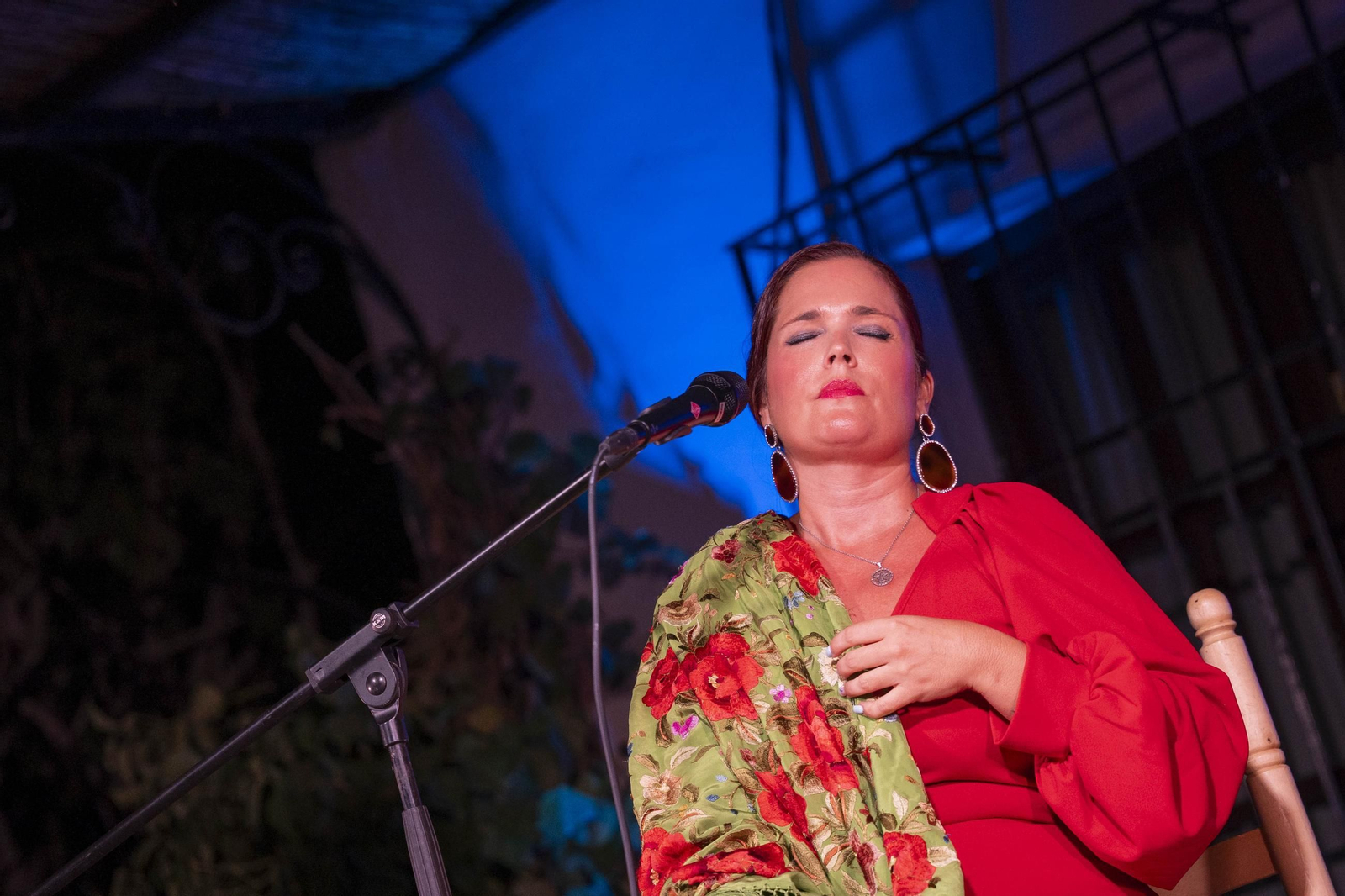 Las mejores imágenes del Festival de Flamenco en Fondón
