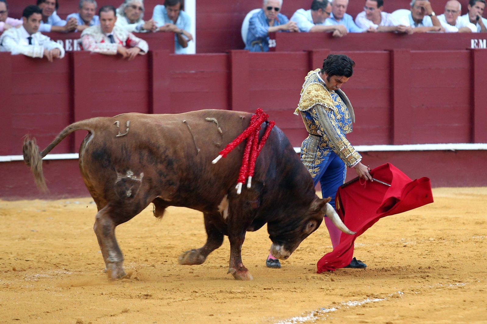 Morante toreando al tercero de la tarde