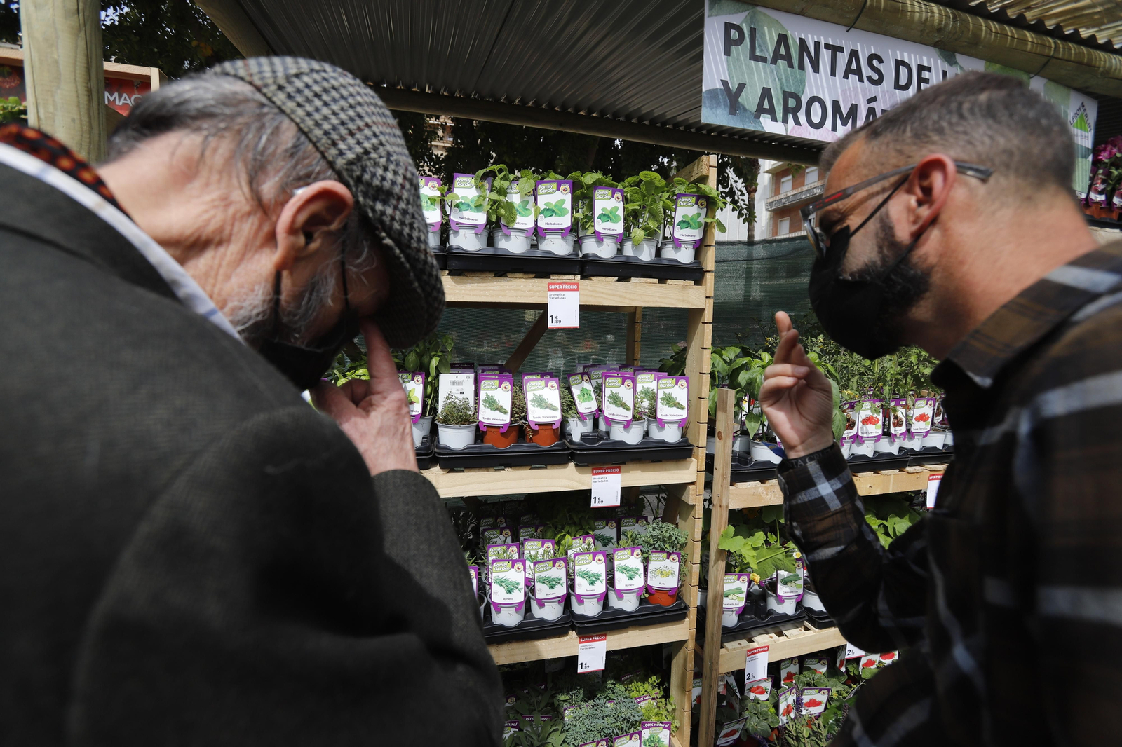 Imágenes del 'V Mercado de Flores y Plantas de Huelva' en la Plaza de Las Monjas