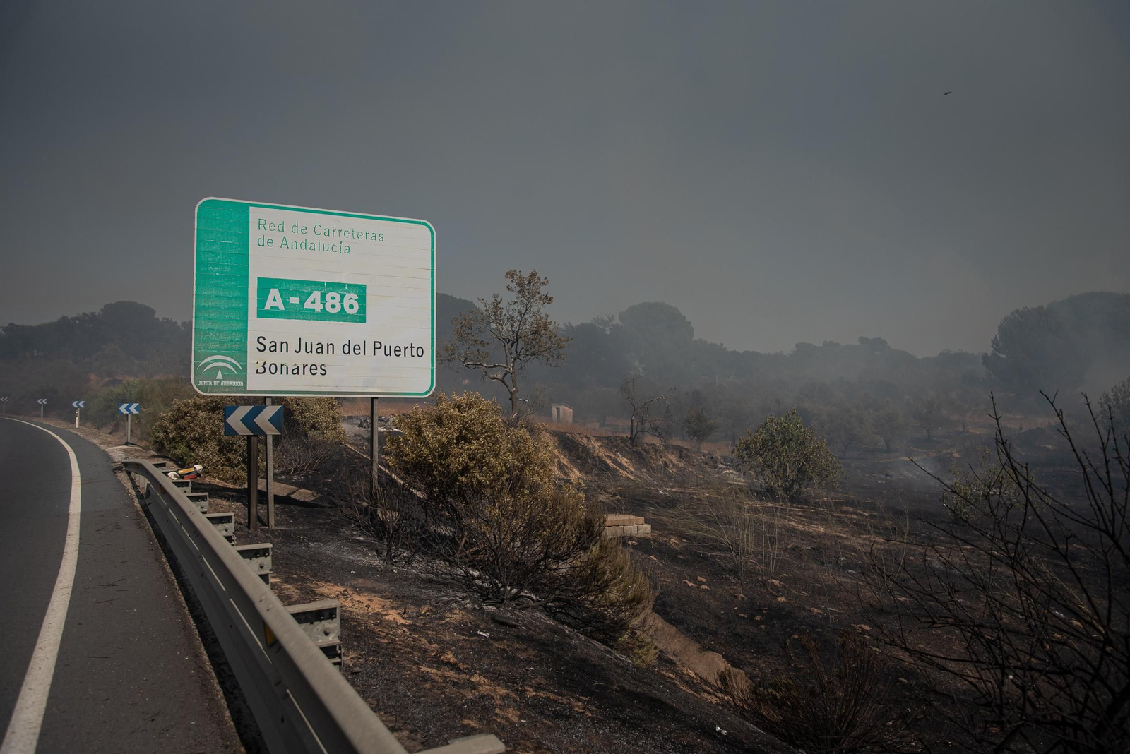 El incendio de Lucena del Puerto en imágenes
