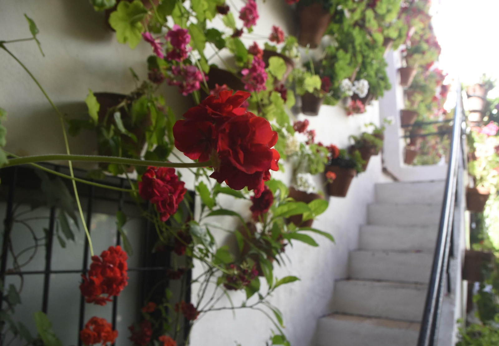 En imágenes: la ruta de los Patios del Alcázar Viejo