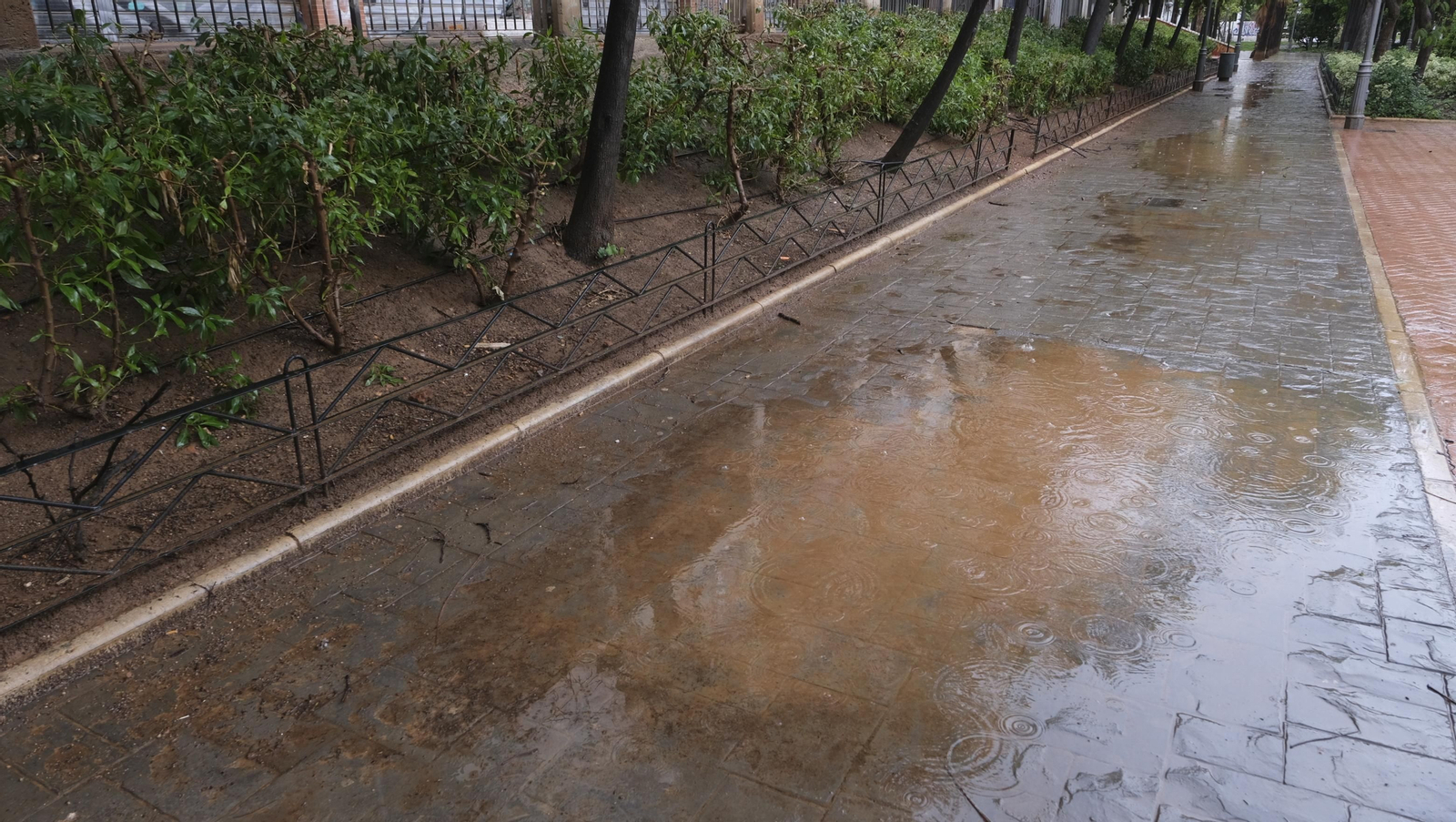 Imágenes de la lluvia en Almería.
