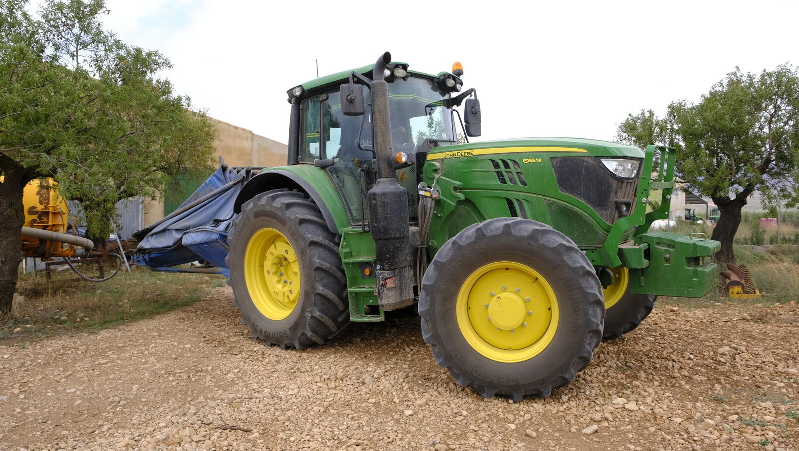 Imágenes de la almendra ecológica de Chirivel