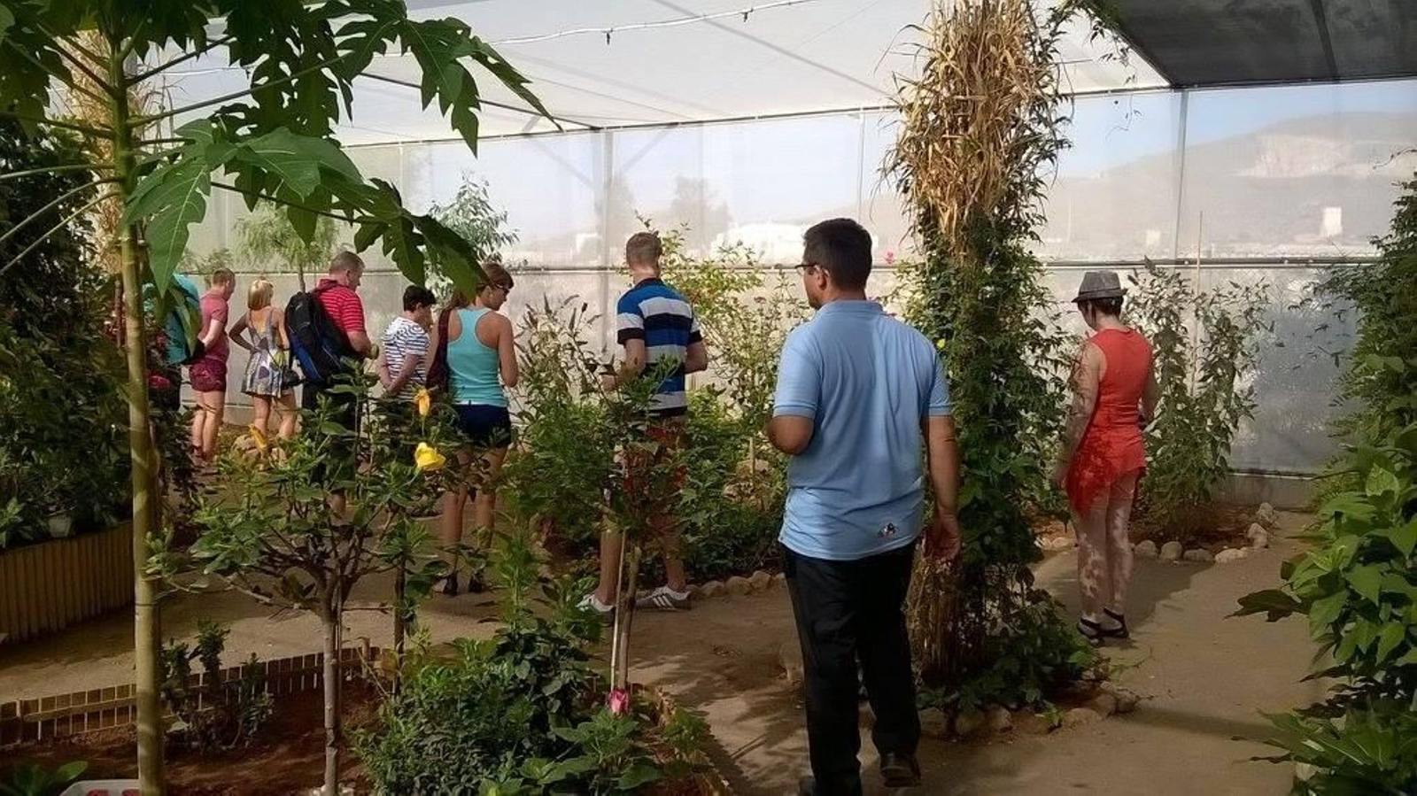 Otro año más entre mariposas