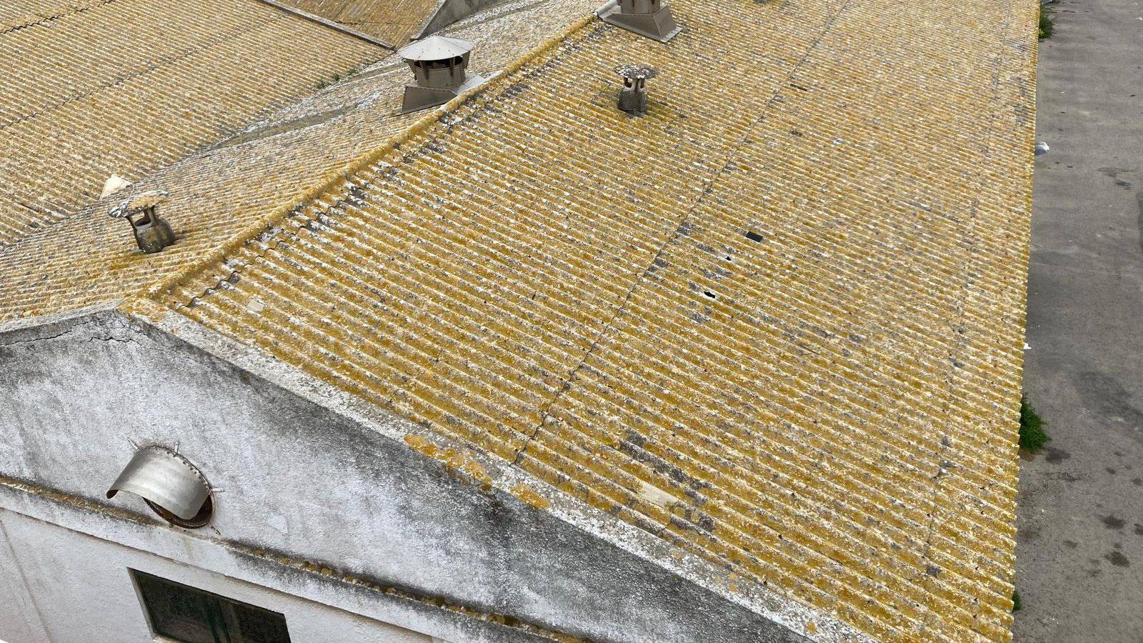 Agaden Ecologistas en Acción solicita garantías sobre la retirada de amianto en el techo de la antigua conservera La Tarifeña.