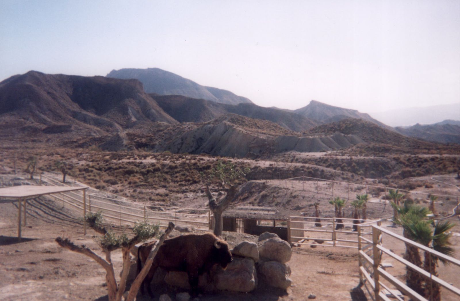 Desierto de Tabernas