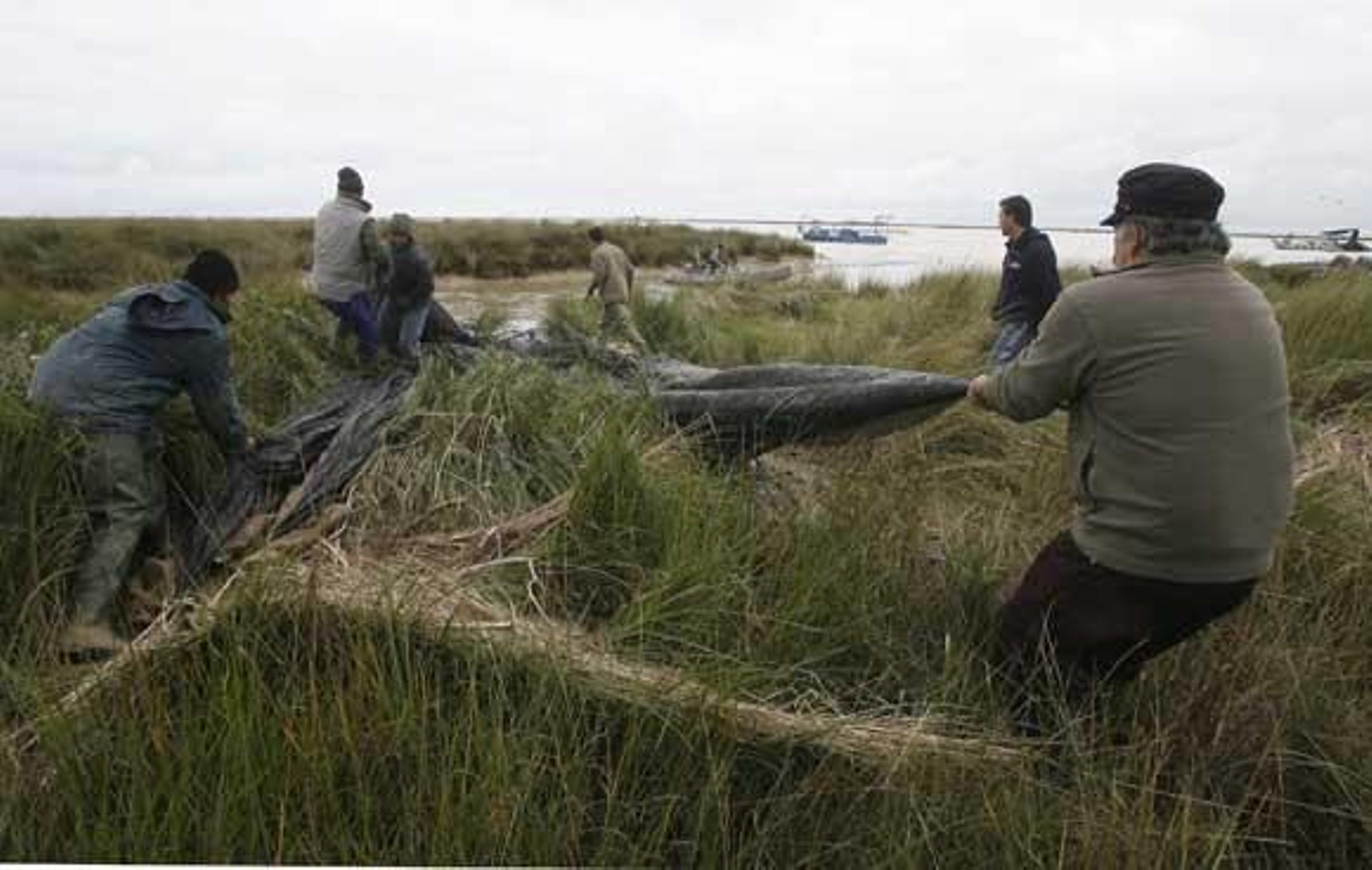Varios pescadores faenan con las redes.

Foto: Borja Benjumeda
