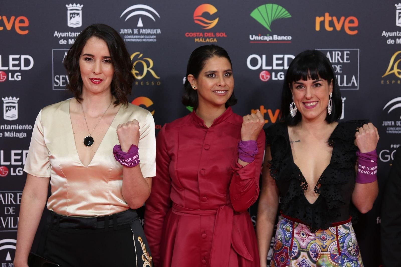 La alfombra roja de los Goya 2020 en Málaga