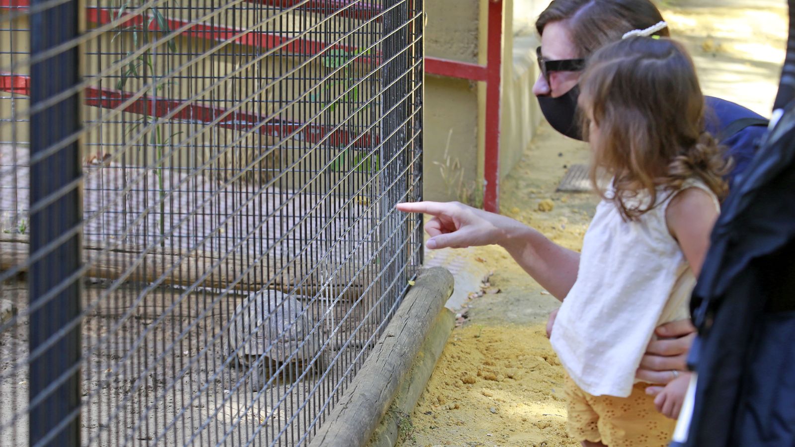 Reapertura del Zoo de Jerez