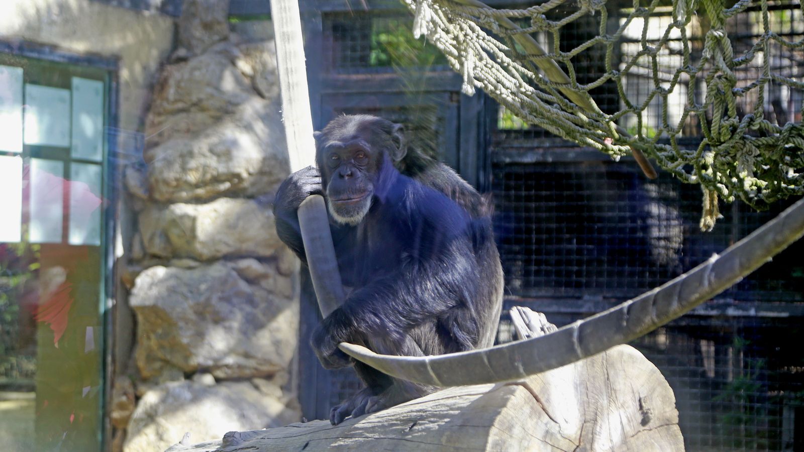 Reapertura del Zoo de Jerez