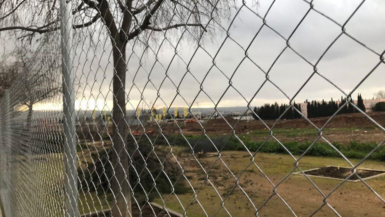 Tala hace unos días en la calle Pampaneira, junto al barrio de La Chana