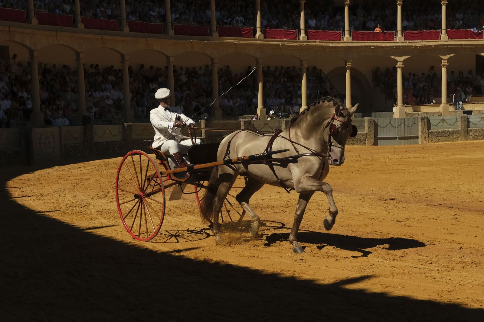 Concurso de enganches de Ronda, en fotos.