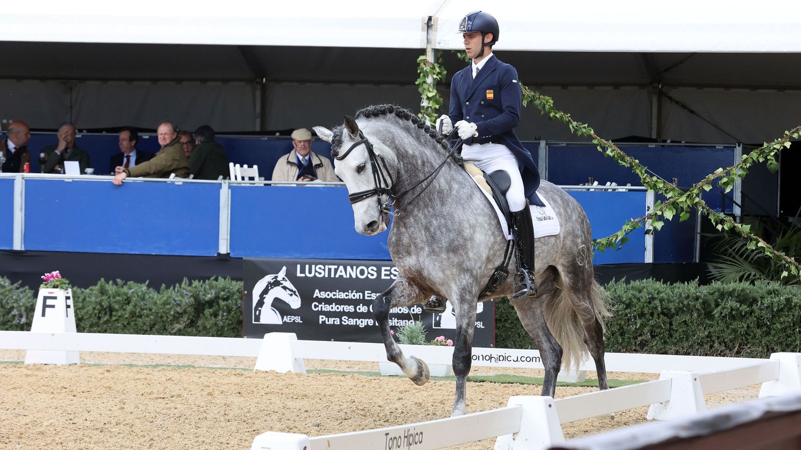 Concurso Internacional de Doma Clásica en La Real Escuela de Jerez