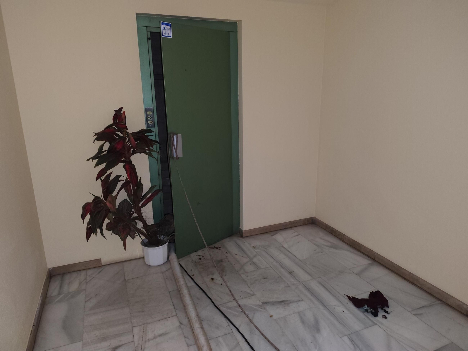 El rastro que deja la borrasca Claudia en Córdoba: anegaciones, árboles caídos y destrozos